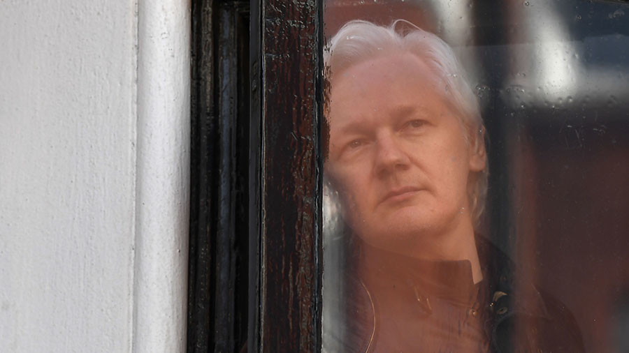 Assange Isolation Zizek AFP